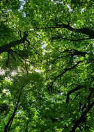 2020-07-19/ead4982d32deda9493687f6e4b79c64b_9dcfb4096d70d99b8eb270e53b7b6ee1