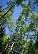 2020-07-20/63f7becb6fa55664b54f77a7a1aae69f_82739eae0e00331bd489ddd9f0df228a