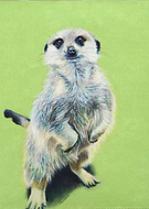 2020-07-20/ad35d1885b8138cb0db2af27b5d1da0a_351dc72cb2426c3b00e90199a7011955