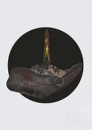 2020-07-21/15508cef460e0f69165f5bcee2700fad_75a49dffbe2e767c119cc833a98e606a