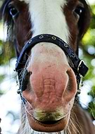 2020-07-21/501fd5e0559fd6d9313b4e7d2603c449_afb8a3ba8bd41860c75986c54c9d19a7