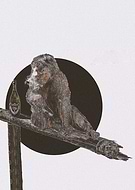 2020-07-21/5be5e09d1d4df261af7b4c4b5339b572_2fb9c42af4e2568319e620e5e66daaac