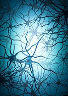 2020-07-23/cda75f47d59d72fee21413fedd631ce4_d97aeca1f0c91587f10acf00f92b2e65