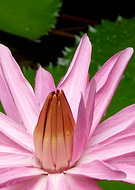 2020-07-24/02b995947403bae5d01f99fd99b5c8f3_f39087fed8eda1886bd6ab9fb9f5da01