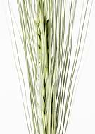 2020-07-24/47affba2dfde72e0006fb8766130412f_431e9a8d9b56b9e4cd846358ce031300