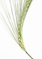 2020-07-24/ca302701b74239e5db4df193921e3fe6_0fd32afb13bfe3627687648e23cadd17