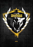 collection-preview-3