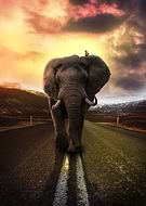 2020-07-28/260c31fdc7ba8dfcf4aeea4faf080c6b_1347eff1cdc6626e0627172baff8e10f