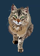 2020-07-31/dc3fd870f47d73fd13c8a67ee5372c11_2445e600229bd75468aeb5b44c2fe471