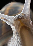 2020-08-01/9cf80fc519ab45b8fc48a6dbfb3e8bd5_30d23e3364453bf09d5c0f99bbb45a37