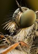 2020-08-01/d94d634d4133ac023150dc64b5add1ff_8a93a22e098b60562cfde588ce7b0351