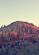 2020-08-03/90b09354023f9b981678ecac61837862_29ad45c765a920091df1f9317bfe4a66