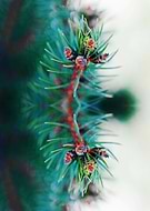 2020-08-05/57961a03ecc65d6cb22939176004d633_aacbe33284e05e13288f5a9f7806c72d