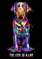 2020-08-06/3f93767075396c57ee0e652bee981e83_ee926be7d2c3f4a920aff2cb8aa0e1f8