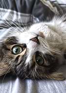 2020-08-10/53bfa017bdb4ca281f1e121b9929d5d1_4894a382a48be3c3625fb13767f5676b