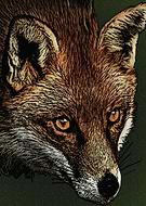 2020-08-10/58493edbb37cc0ad2ed73554881b7640_78241ef9738a0c8038593abf91f1cb37