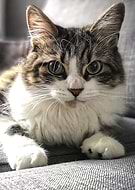 2020-08-10/8fe622fa38f2d89f484619b30b57c150_1afd21ab8e21cf72b4f9be40b9341ce4