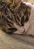 2020-08-10/bb479537c362ab102a0d45e06adf68e2_293edf9e0e7d4f115ca94d6d5d36b142