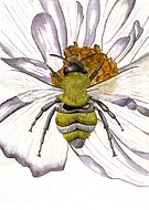 2020-08-12/344c2dbdb276613168da2974da4e1671_99107e9817011159e93d185aa0e73e6e