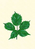 2020-08-14/19dc56546f42418ec79f0ffce94fa8bb_5b60bb070c97cf48ed473096a246b096