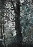 2020-08-14/3ca7561d9068cef1858d21f21ec08208_3e21e7f77deda164932c6ae3fc9fbbd8