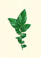 2020-08-14/7331daa3183a63d431222181539e1f10_41fc375eed931863b00b273723be8ce7