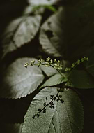 2020-08-15/4a98c6cfacd3bfffb611c24e3334b45d_2017a1894c0024db0588953a6ab6395f