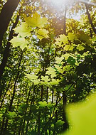 2020-08-15/4bf2a6aedee702da51f1787ce3989287_7b13cb4980280af8fee01fcaa191e0d6