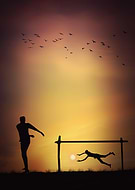 2020-08-15/d424fc9e85f3b4fce9c6b7403bcd9e62_6f567866c5dac011ca0ee007a4058a02