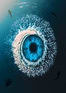 2020-08-21/4182daabb76bb0e8a8cf2a894a78d9ce_b9bde56b9605dec76086a2aea034524e