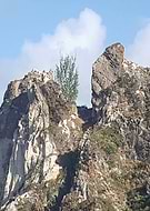 2020-08-21/6b8cbddbe4825f644c7e3dcc17223e6e_00bdb7e009280a671f46e798c91ae0d3