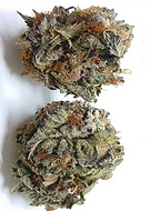 2020-08-21/d69ed5c705a3e230fb7bf6923d585dfd_7daffc0b3bb247619bce3bf0218f7683