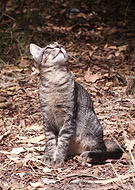 2020-08-26/9867b6a7d46b9a2770b87df9b74ef924_f8a084975b7a9f181a36695956d0ef4c