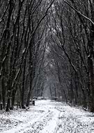 2020-08-27/365a2376d64a03ea023e85dd29167e88_a5e718d4bf69d5e1cb94054c9fb5a4a3