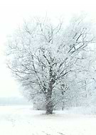 2020-08-27/e891b66aa9ecd5d640539947f00d1b91_c749080586ff3b5130ff77848c3971cb