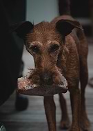 2020-08-28/096fa3899dfc9efda9a827d45a6a0b04_9d143fd8f6834d6179be668ca56cf78d