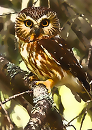 2020-08-29/21e639c0963e57d3ed6f00af93a280c9_1a19644945ef6cba6545e76aca11a854