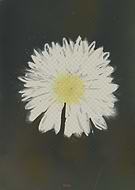 2020-08-30/3b4e87aee2ba3b603776f3785f79c0a6_f337d8c17d2a3c1b2a7595c48ea8b4e8