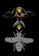 2020-08-30/6af028696d3e7e3fc46e01b718c079ab_8e123e142a2eb7b5f3b3f8f4e05569c3