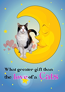 2020-08-31/4977eeeb3e9df057bd34397afc97d555_9a844cc17fec8abbd76be704ab74a2df