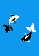 2020-09-05/5b6658d64ba2287811048724e0a44a95_fdaf2fcabc41c5783ab991c200871063