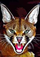 2020-09-13/63aa19b16350150cc2fb5ba992d6b6b3_84b1b9414f276f2dd3ea2a8c17af12ec