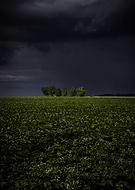 2020-09-14/d9f32f690d938f411b0ca64d568f04ec_b39cc42f54e57c0526a0f5bf03ce4486