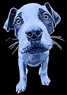 2020-09-18/55934d2b0868807c6a221a79bb66d9aa_b5c50e2a0dd84e134461c41dc1c75418