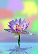 2020-09-22/abe621a5d5121f68bdd1f45e2a6e506b_8bb0f1e0a6fddbbf488730a3ea55d129