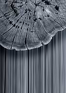 2020-09-29/b2949dd4cf0002437a668383c9a34032_7f76d4ed5ce4574bf15a82f7f968aac7