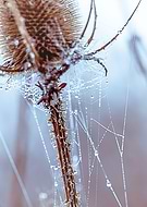 2020-09-30/f620b1bef74a7cfdd51dffef129f5399_bbe0e377c6c2cd31675b39593bc5f4f0