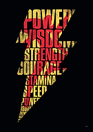 collection-preview-2