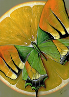 2020-10-03/84ee3226483e2adf6166709bff05c732_c3651aac972b8a5ed1057f21af849dce