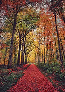 2020-10-11/272aabd8da7e13ac0798c4f03c39df73_db068689f522f6eab4209951c6c76661